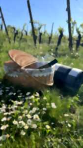 Le pique nique by Au cœur des vignes