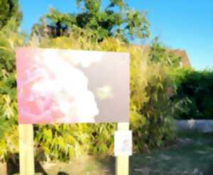 Exposition photographique : Poèmes de pollens