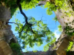 photo Animations au château de La Renaudie