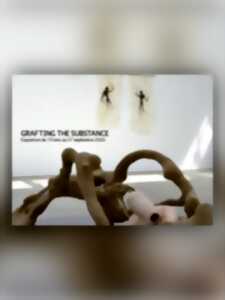 photo Grafting the substance - exposition collective