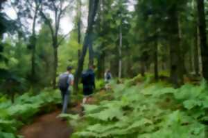 Rallye d'orientation