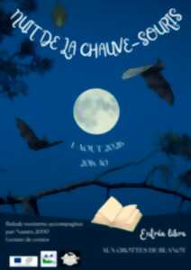 photo Nuit de la Chauve-Souris