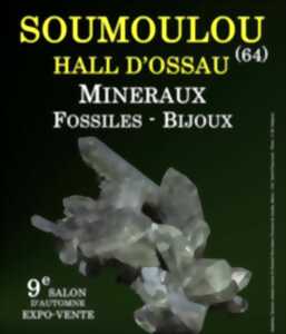 9ème Salon des minéraux fossiles et bijoux