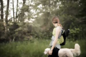 photo Rando et cani rando solidaires
