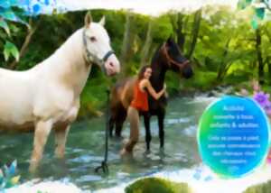 photo Baignade et détente avec les chevaux