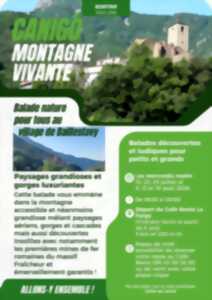 photo PAYSAGES GRANDIOSES ET GORGES LUXURIANTES