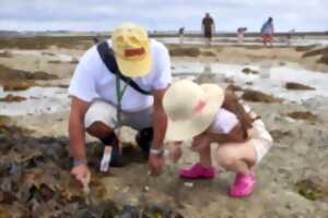 photo Expérience de Destination : J'apprends à pêcher la palourde à la marque !