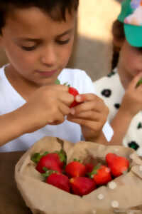 photo Marché festif à Aubazine