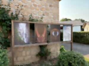 Exposition Egletons Photo Nature