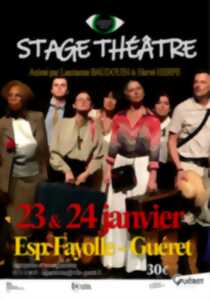 Stage Théâtre