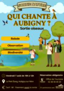 Sortie nature : Qui chante à Aubigny ?