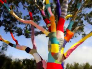 photo Tricot solidaire