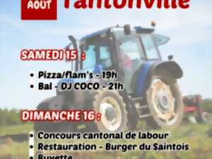Concours de labour cantonale