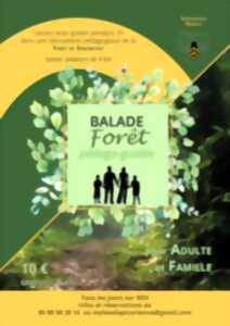 photo Balade en forêt pédago-guidée