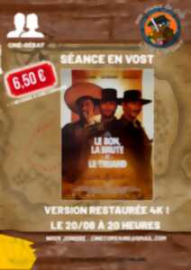 photo Ciné club : Le Bon, la Brute et le Truand