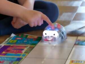 photo Découverte de la programmation et de la robotique