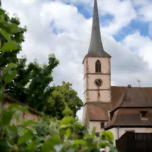 photo Visites guidée de Mittelbergheim et son musée viticole