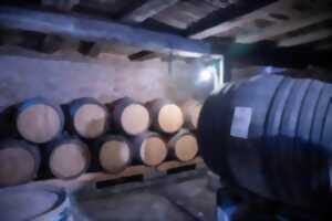 « HOP'LA »: À la découverte des Vins & Crémants d’Alsace