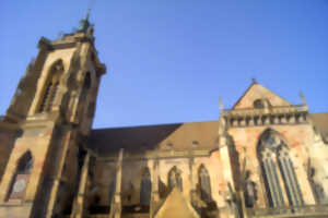 photo Visite guidée - Collégiale Saint-Martin