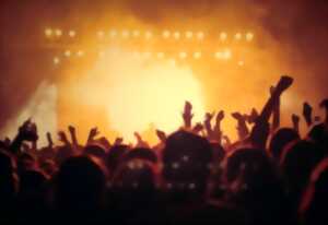 Les concerts des Estivales