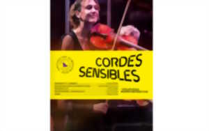 photo Orchestre Symphonique du Pays Basque : Cordes Sensibles