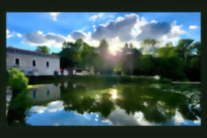 photo Les Vendredis Guinguette