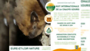 photo Nuit internationale de la chauve-souris