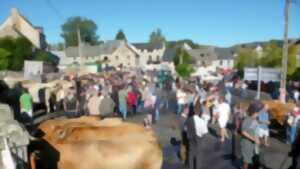 FOIRE AUX BESTIAUX À NASBINALS