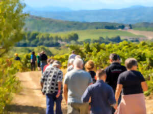 photo BALADES VIGNERONNES EN GRAND CARCASSONNE - CHÂTEAU GUILHEM