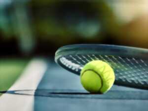 photo Stages de tennis