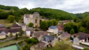 photo Spectacle immersif - Choeur de lumières