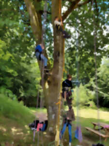 photo Grimpe d'arbres