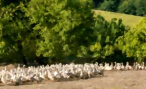 photo Journées du patrimoine et foie gras : portes ouvertes à la Ferme des Roucel