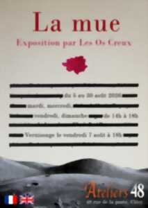 photo Exposition La Mue aux Ateliers 48