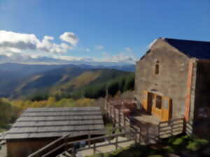 photo JOURNÉE DANS LA CHÂTAIGNERAIE  ET ENTRETIEN DES OUTILS