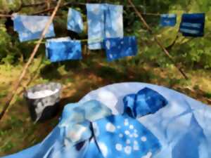 photo ATELIER TEINTURE VÉGÉTALE COMPLET AU JARDIN ET VISITE DE L'INDIGOTERIE