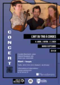 photo L'art du trio à cordes à Niort