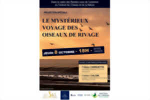 photo Projection spéciale : Le mystérieux voyage des oiseaux de rivage