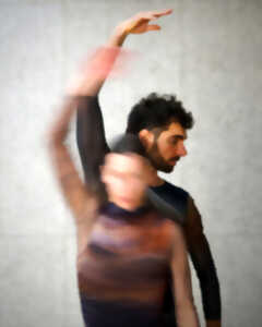photo Comment se fondre dans l’ombre - Cie Amigara