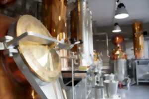 Visite guidée des coulisses de la distillerie Nusbaumer
