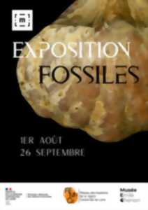 photo Exposition Fossiles