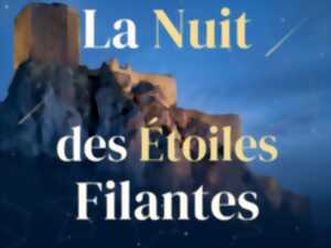photo LA NUIT DES ÉTOILES FILANTES AU CHÂTEAU DE QUÉRIBUS