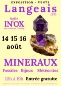 photo Salon de Minéraux et Fossiles de Langeais (37)