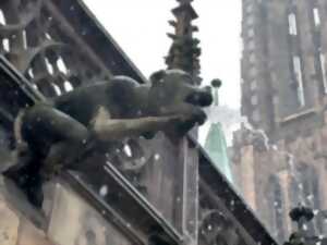 photo Regards croisés sur le grès de la cathédrale de Strasbourg