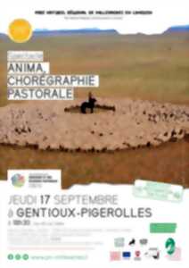 photo ANIMA - chorégraphies pastorales
