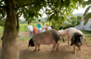 photo Ici, nos savoir-faire - Visite Ferme Agerria