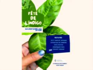 photo La fête de l'indigo