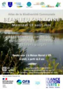 photo Sortie 