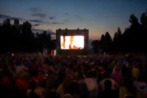 photo Cinéma plein air et concert