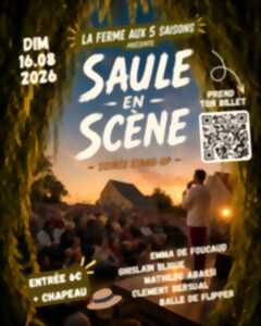 photo SAULE EN SCÈNE